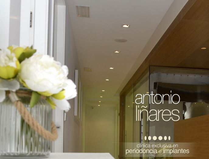 Galería de imágenes